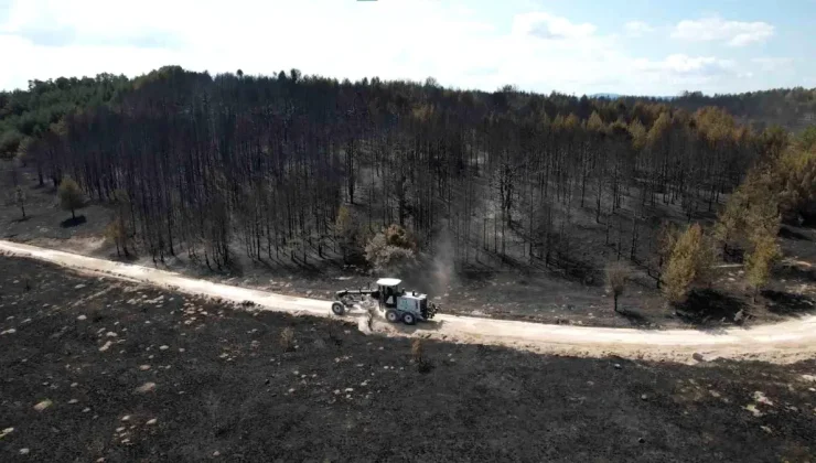 Ankara ve Bolu’da Orman Yangınları Söndürüldü